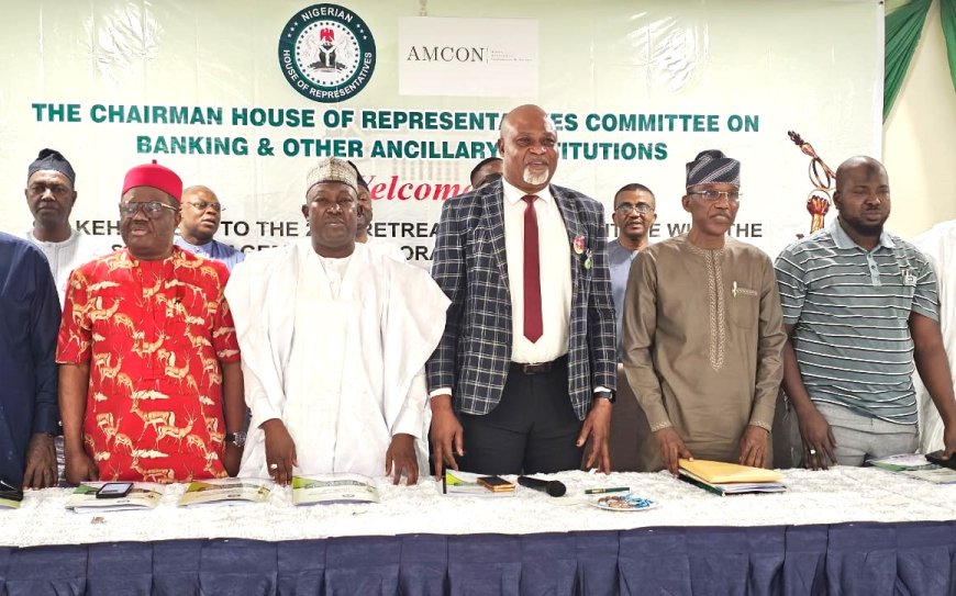 House Committee Chairman Assures AMCON of Support, Effective Function of The Institution