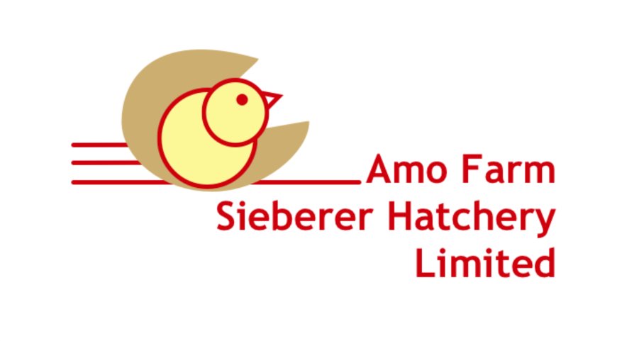 Amo Farm Sieberer Hatchery Limited Celebrates Children's Day by Championing Child Nutrition