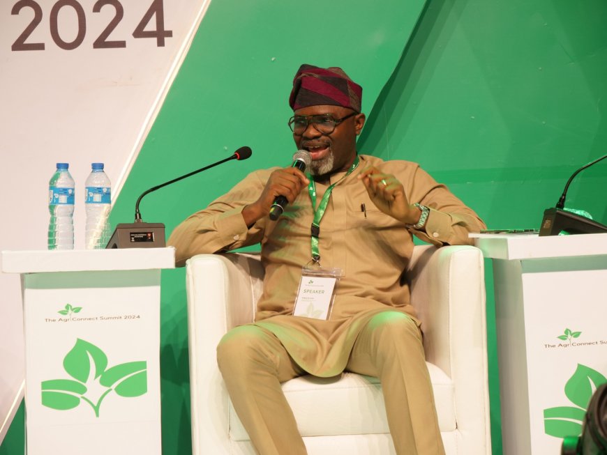 Agriconnect Summit 2024: Dr. Ayoola Oduntan Advocates for Policy Coherence to Enhance Market Access in Agriculture