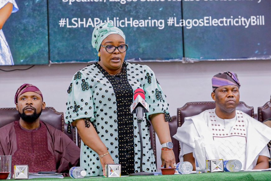 Lagos Lawmakers, Stakeholders Meet As State Plans Own Electricity Market