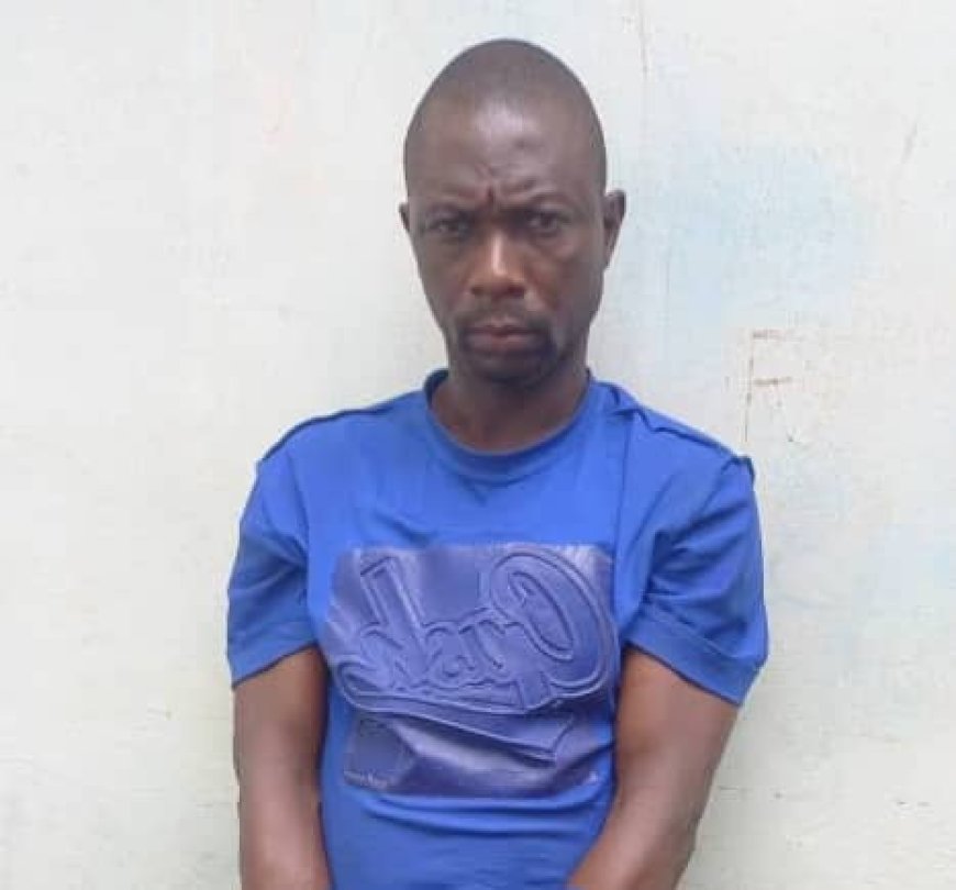 Nasarawa state: Police Arrest suspected Drug Trafficker, Recovers operational vehicle,15 bags of dry leaves suspected to be Indian hemp