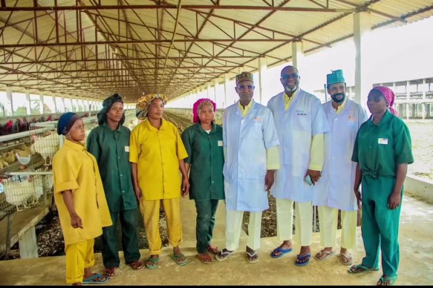 Minister of Livestock Development Commends Amo Farm, Noilers' Role in Food Security