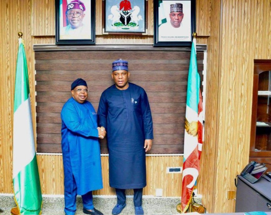 Ajaokuta Steel Set for Revival as Nigeria-China Partnership Targets Automotive, Manufacturing Growth