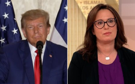 Haberman reveals why Trump attacked judge and his family in speech