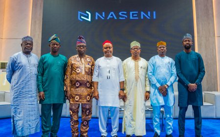Research Commercialization Key to Nigeria’s Economic Growth- NASENI