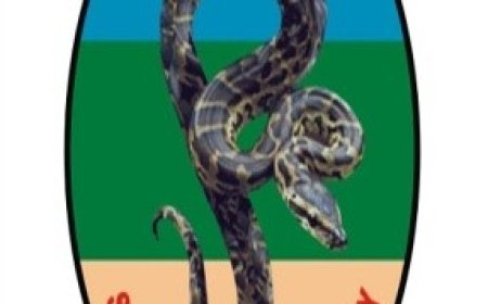 Army Confirms Death of Lieutenant S. Haruna Following Incident at Home