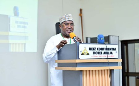 NDLEA: Cannabis Oil Export Statement Was Agency's Opinion, Not Federal Government Policy