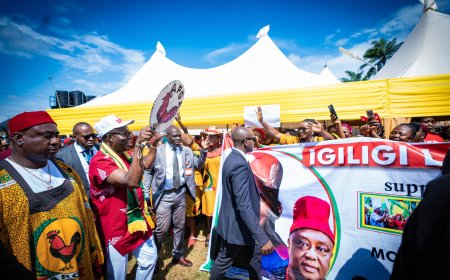 Anambra State Education Excellence Vindicated by Nine National Awards, Counters 'Flawed' Philips Consulting Report