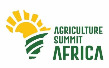 Sterling Bank Leads Africa’s Green Revolution… …with Agriculture Summit Africa 2025