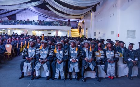 Fueling a New Economy: How Private Capital is Driving Nigeria's Startup Boom