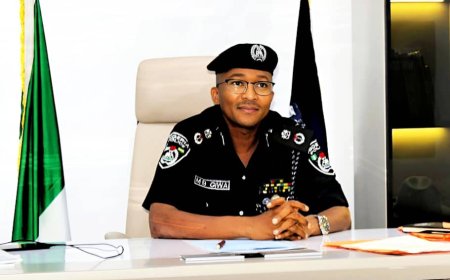 Enugu Police Recover Truck Stolen in Edo State Hours Earlier, Trail Suspects