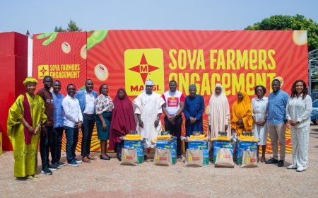 The Scent of Soil: How a Single Spice Block Revolutionized 1,000 Nigerian Farms