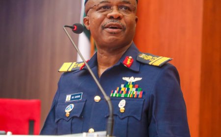 NAF's New Mandate: AVM Aneke Vows to Keep Insurgents 'Running' After Senate Confirmation