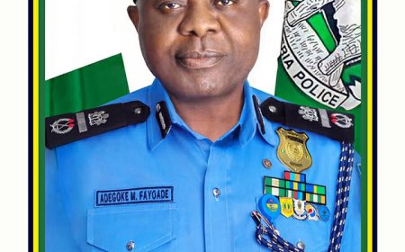 Police Breakthrough: Dragon Team Nabs Six Armed Robbers, Recovers Arms in Ogun State