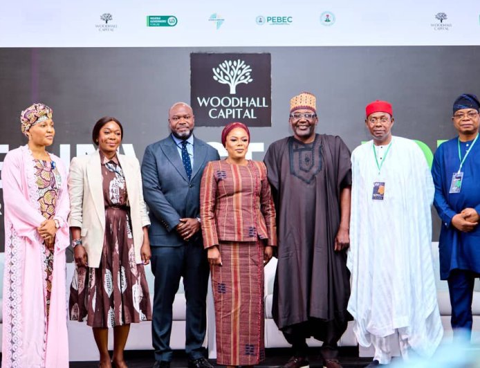 Woodhall Capital Targets $50 Billion in Global Investments to Drive Nigeria’s Development