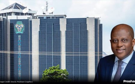 Nigeria’s "Era of Renewed Stability" and the Truths the CBN Chooses to Overlook BY BLAISE UDUNZE