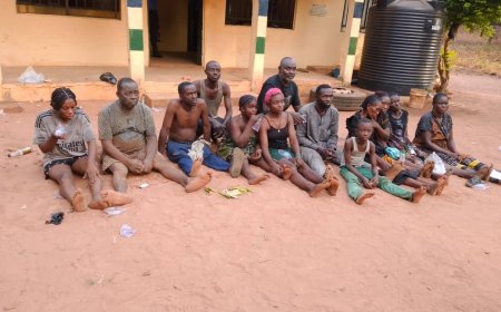 Joint Forces Decimate Kidnap Cell in Orokam Forest, Rescue 14 Captives After Fierce Firefight