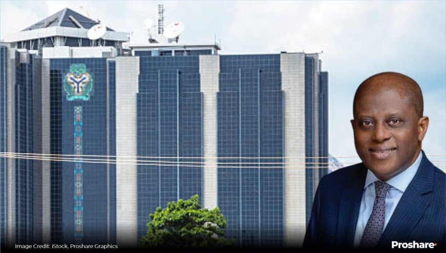 Nigeria’s "Era of Renewed Stability" and the Truths the CBN Chooses to Overlook BY BLAISE UDUNZE