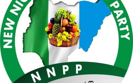 NNPP Leadership Crisis: National Chairman Rejects Obasanjo’s Obi-Kwankwaso Joint Ticket Proposal