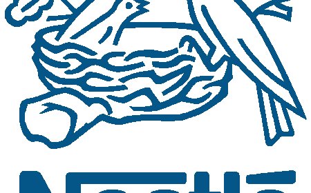 Nestlé Nigeria Clarifies: Infant Formula Sold Locally Not Part of Global Voluntary Recall