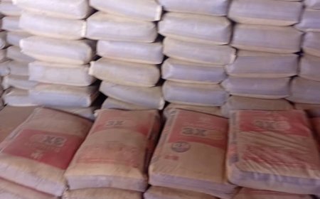 OGUN POLICE ARREST EIGHT ARMED ROBBERY SUSPECTS, RECOVER FIREARM, HIJACKED TRAILER TRUCK WITH 900 BAGS OF CEMENT