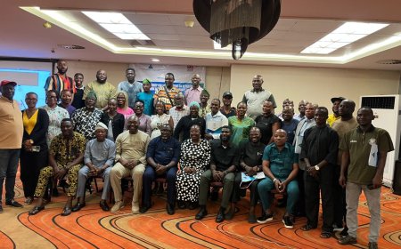 Beyond the Uniform: Why Police Reform Remains Nigeria’s Hardest Social Bargain