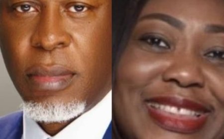 Heirs Holdings Appoints Obinna Ufudo, Sola Yomi-Ajayi as Non-Executive Directors