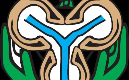 INVESTIGATION : CBN’s FinTech National Upgrade: Inside the Policy Shift, the Winners, the Losers, and the Hidden Risks