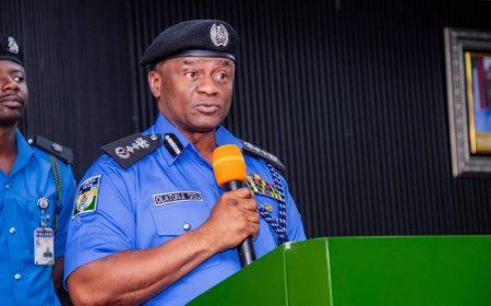 IGP Disu Launches Nationwide Online Campaign to Tackle Cybercrime