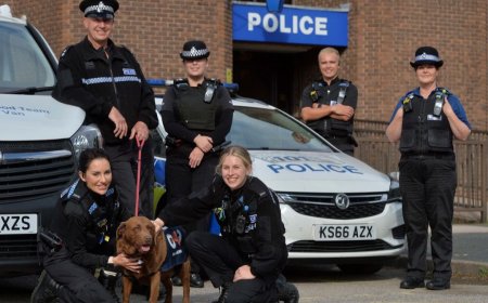 Mystery as Woman Found Dead in Telford Apartment, Police Launch Suspicious Death Probe