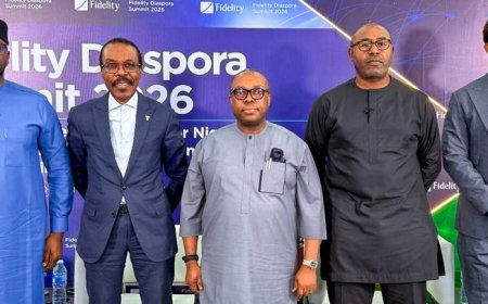 Onyeali-Ikpe, Dabiri Erewa, Rewane advocate for increased Diaspora Participation in Nigeria’s Economy