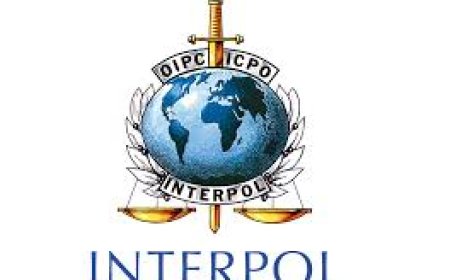 INTERPOL Report: Over 300 Arrested in Africa-Wide Cybercrime Crackdown as Global Fraud Losses Hit $442bn