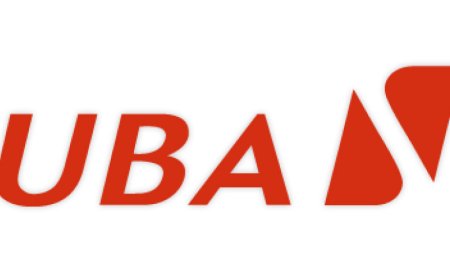 UBA, BII Consider Partnership to Boost Trade Finance for African Businesses