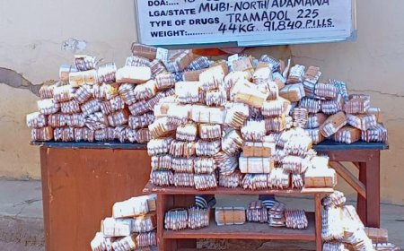 NDLEA Busts Drug Syndicates, Seizes Opioids Hidden in Carton Walls, Jackets, Cream at Lagos Airport