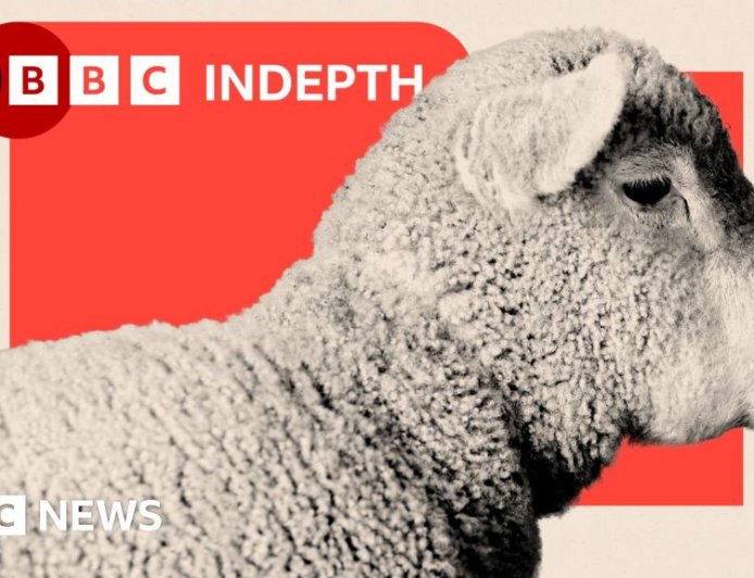 Sheep are disappearing from our hills - and our dinner plates