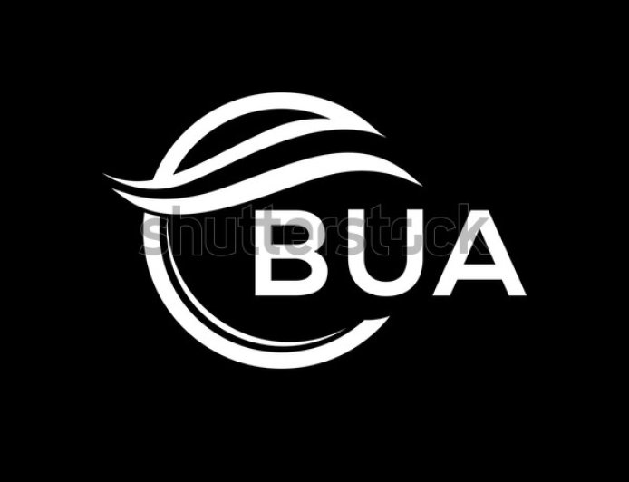 Rabiu’s Fortune Soars 120% to $11.2bn, Emerges Africa’s Biggest Wealth Gainer in 2026 Forbes Ranking; Dangote Retains No.1 Spot