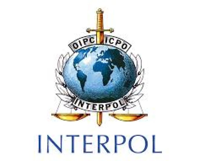 INTERPOL Report: Over 300 Arrested in Africa-Wide Cybercrime Crackdown as Global Fraud Losses Hit $442bn