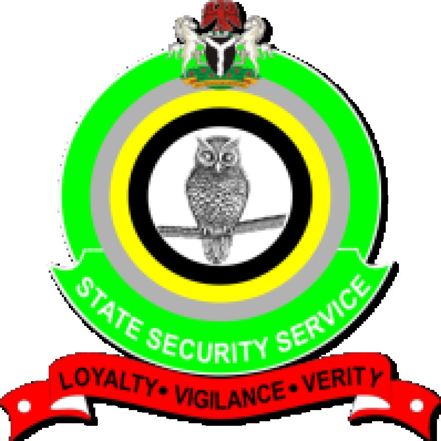 Arms Trafficking: Three Get 10-Year Jail Term in Taraba as Suspect Admits Possessing 302 Ammunition in Abuja