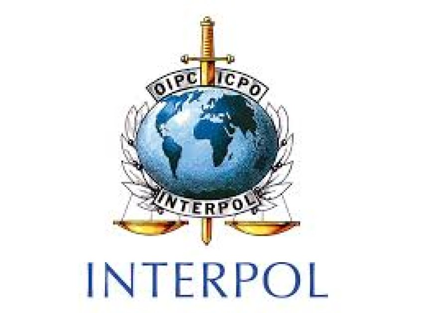 INTERPOL Report: Over 300 Arrested in Africa-Wide Cybercrime Crackdown as Global Fraud Losses Hit $442bn