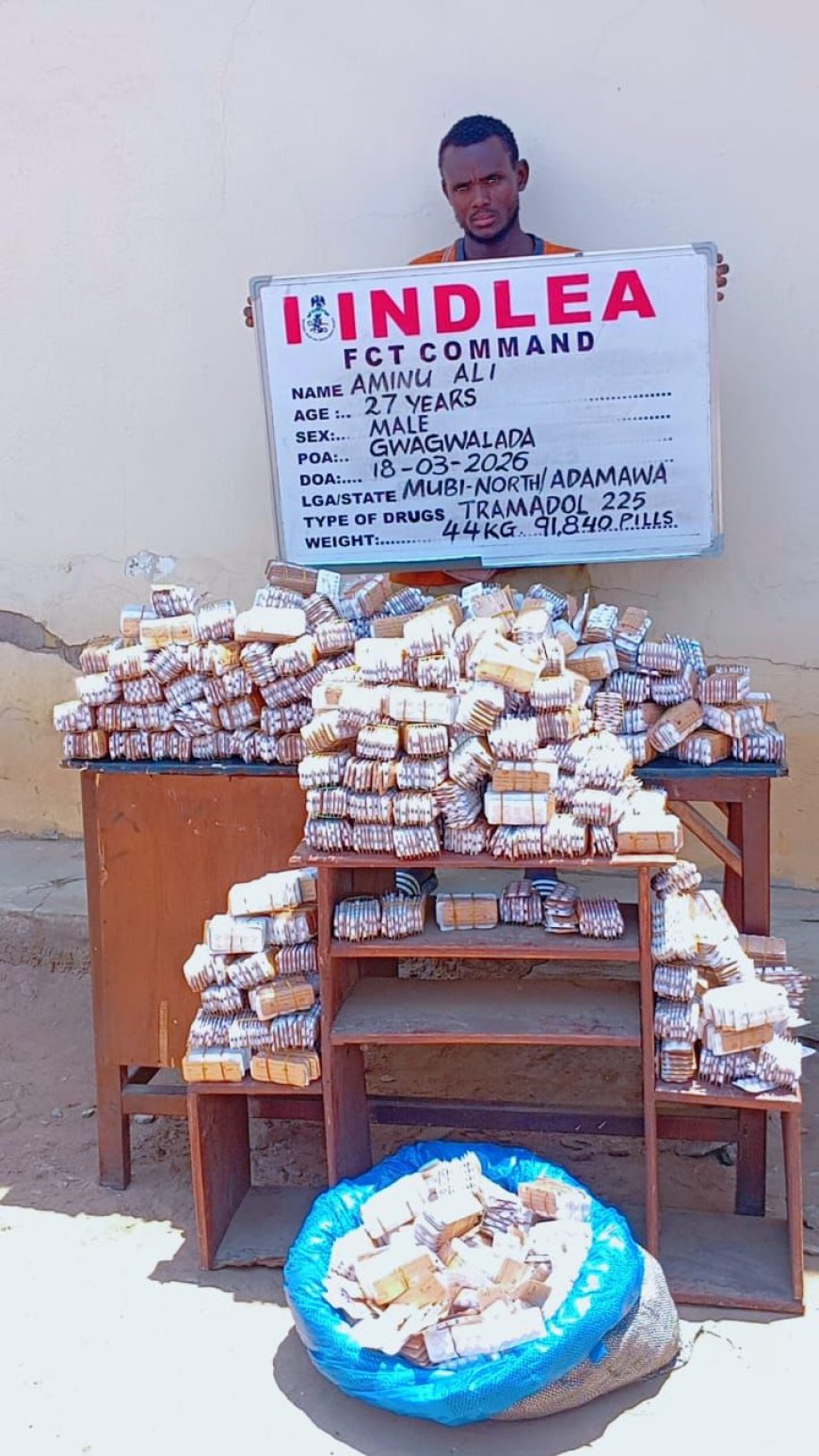 NDLEA Busts Drug Syndicates, Seizes Opioids Hidden in Carton Walls, Jackets, Cream at Lagos Airport