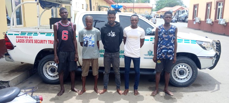 Lagos Taskforce Arrests Five Suspected ‘Omotaku’ for Alleged Extortion in Abule-Egba, Other Areas
