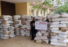 Major Drug Raids Across Nigeria: NDLEA Captures Kingpins, Intercepts Shipments