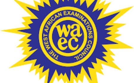 WAEC elects new vice chairman, raises alarm over exam malpractice in West Africa