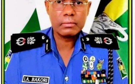 KANO POLICE BUST CAR THEFT RING, NAB FOUR SUSPECTS, RECOVER STOLEN VEHICLES