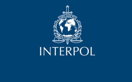 INTERPOL Disowns Emeh Arrest: Fresh Doubts Trail Cross-Border Seizure of Nigerian Whistleblower
