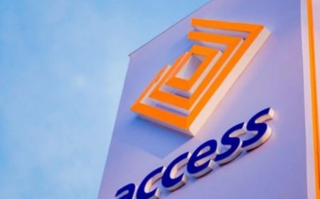 Scam Alert: Fraudsters Impersonate Aigboje Aig-Imoukhuede in Fake WhatsApp Investment Scheme