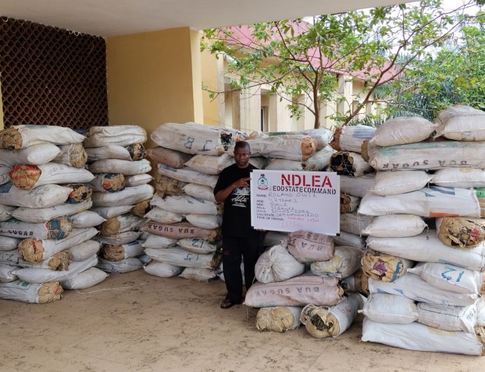Major Drug Raids Across Nigeria: NDLEA Captures Kingpins, Intercepts Shipments