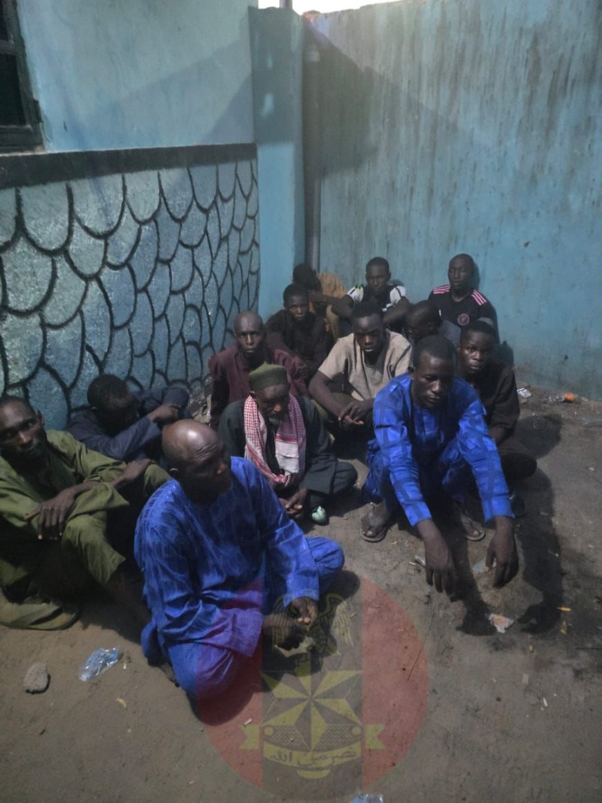 Troops Foil Terror Attacks, Intercept Two Truckloads of Insurgent Supplies in North-East Crackdown