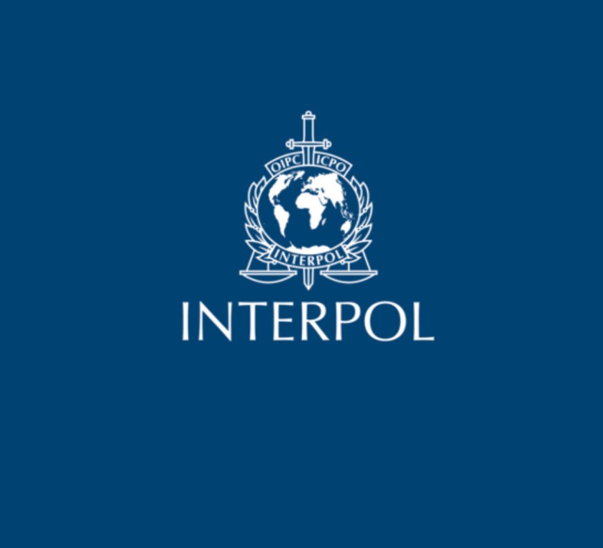 INTERPOL Disowns Emeh Arrest: Fresh Doubts Trail Cross-Border Seizure of Nigerian Whistleblower