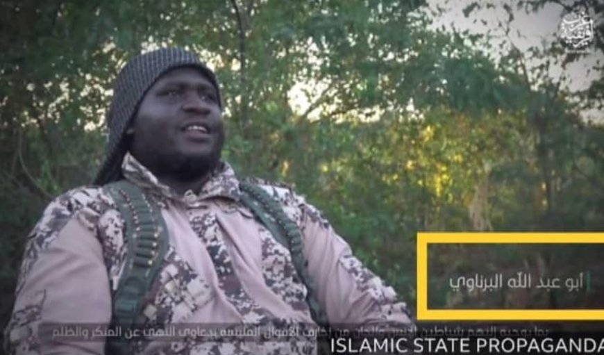 OPHK Scores Major Breakthrough as Top ISWAP Commanders Surrender, Shurah Council Member Killed